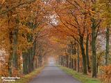 herfst 2022 deel 2